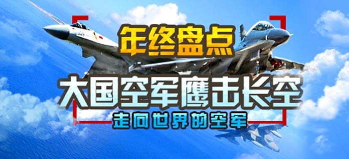 【年终盘点】大国空军鹰击长空