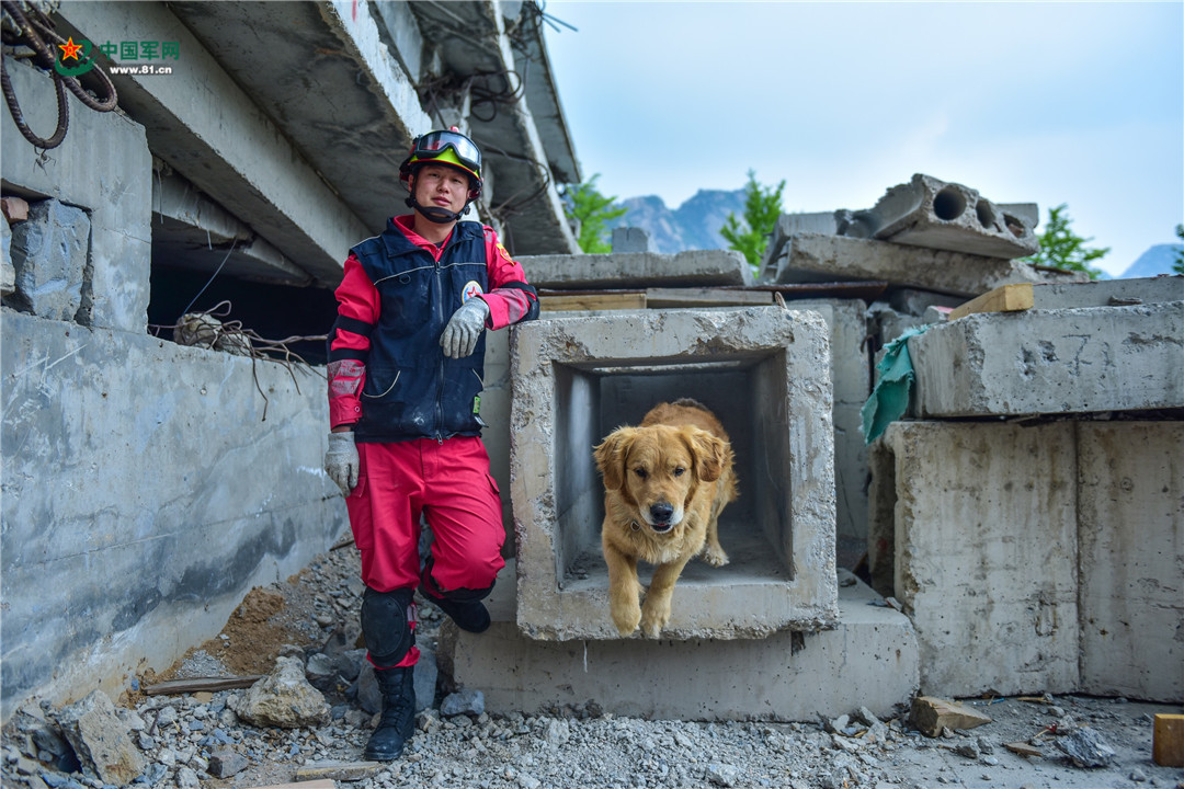 中国国际救援队成立20周年,搜救犬队的汪