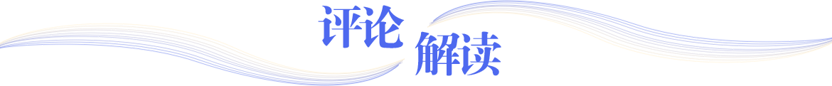 评论解读