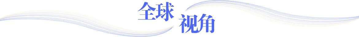 全球视角