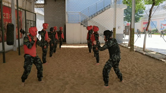 动图来袭|兵哥哥的霸气擒敌术,你能过几招?