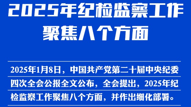 2025年纪检监察工作聚焦八个方面，一图速览→