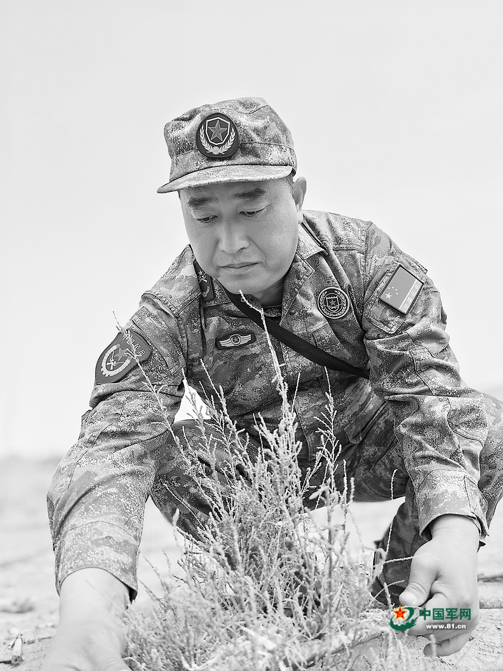 e101aefb001200fa0931dc22e3e2682e.jpg