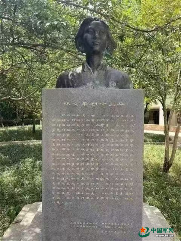 60ab683f709f3d2eed894085945a90e8.jpg