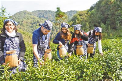 国际人士积极评价中国乡村振兴战略:学习的榜