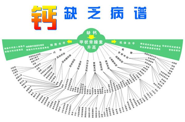军医谈孕妇禁忌:妊娠钙代谢与补钙 - 中国军网