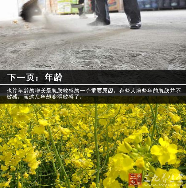 常见的是海鲜