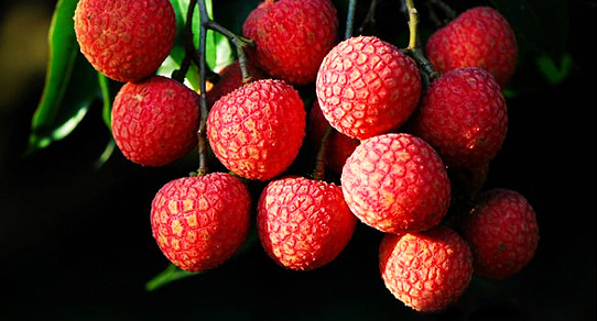 夏季冰箱里绝不能放的10种食物