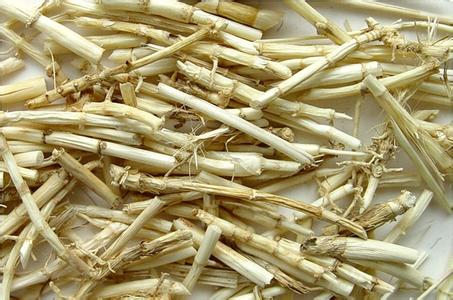 茅根全身都是宝
