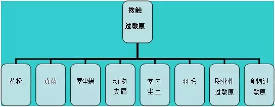 军医提醒:别把鼻炎错当感冒