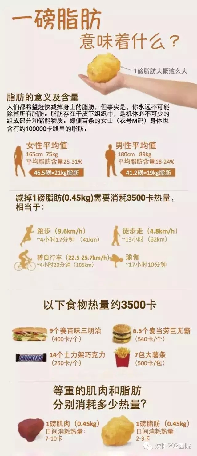 一图读懂:一磅脂肪意味着什么 - 中国军网