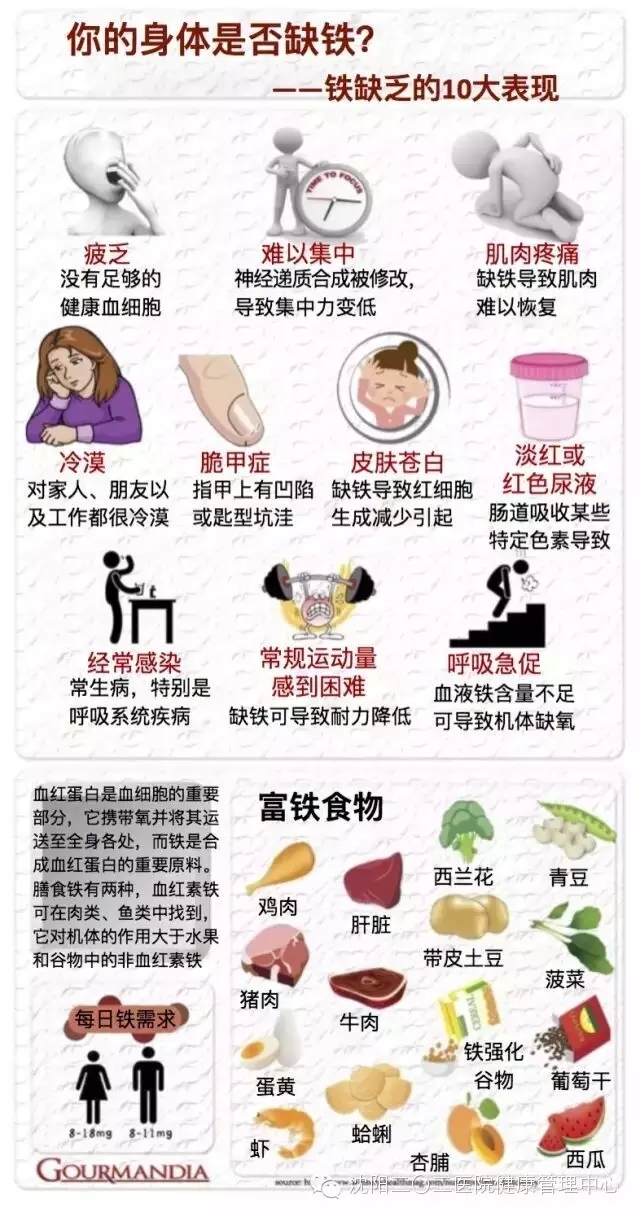 一图读懂:你的身体是否缺铁?