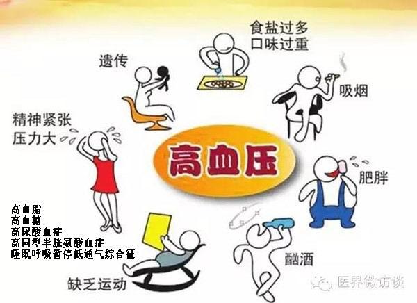 专家解读:高血压危险分层标准