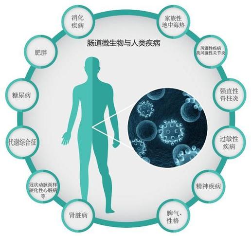 科普:肠道菌群构成主要取决于饮食和生活方式 - 中国军网