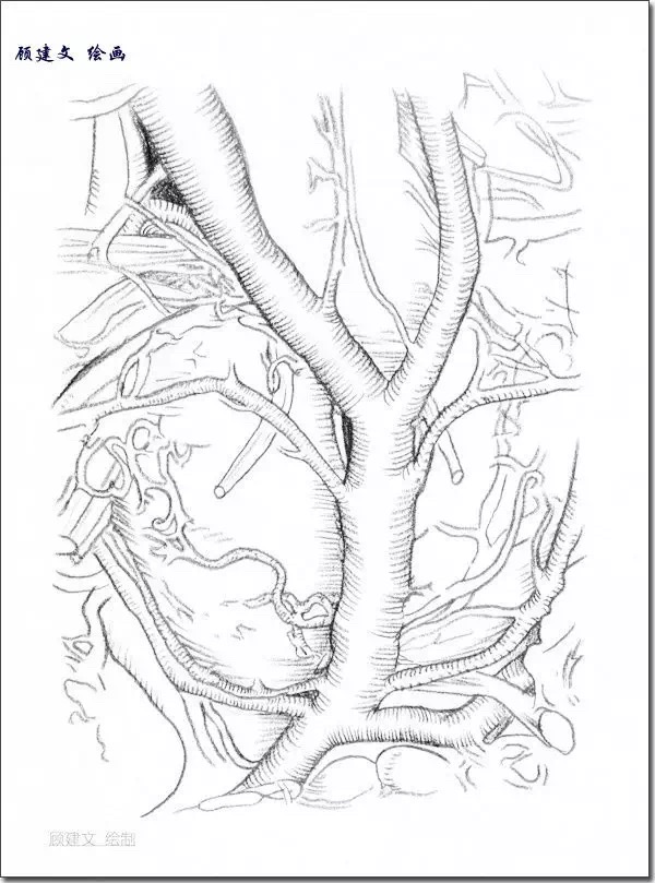 顾建文委员:艺术,养生,医疗融为一体,呼吁加强