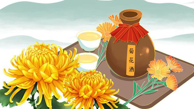 饮菊花酒