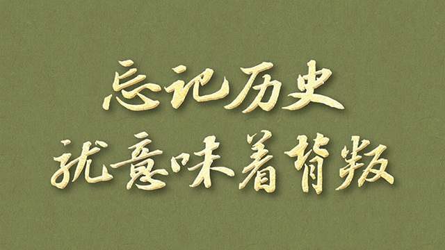 习语丨“以史为鉴、面向未来，共同珍爱和平、维护和平”