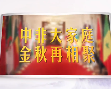 视频画报｜中非大家庭 金秋再相聚