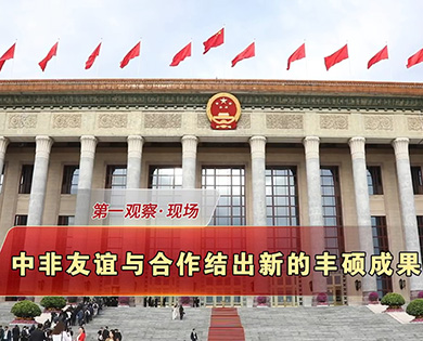第一观察·现场 | 中非友谊与合作结出新的丰硕成果