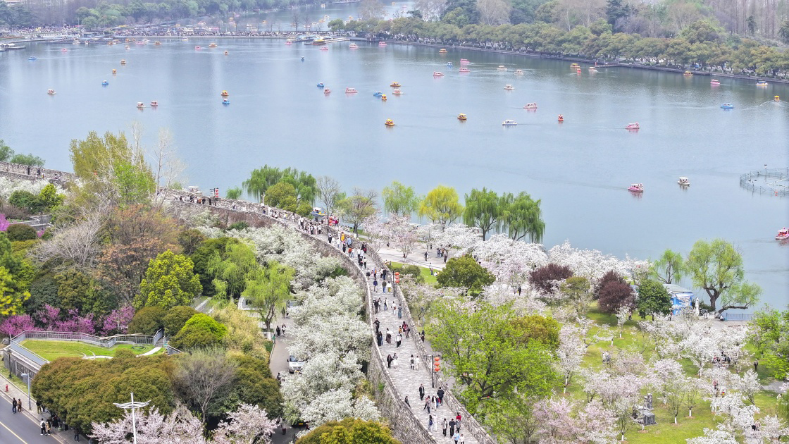 春花烂漫踏青时