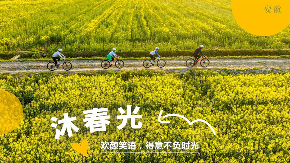 16张海报带你云赏长三角之春
