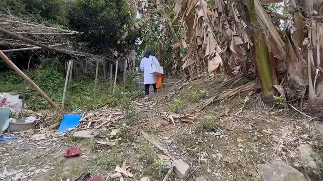 党旗在基层一线高高飘扬｜一名村医的初心与坚守