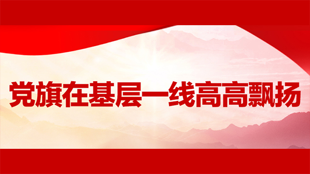 国家电网四川电力成都高新连心桥党员服务队——二十二年的“有呼必应”