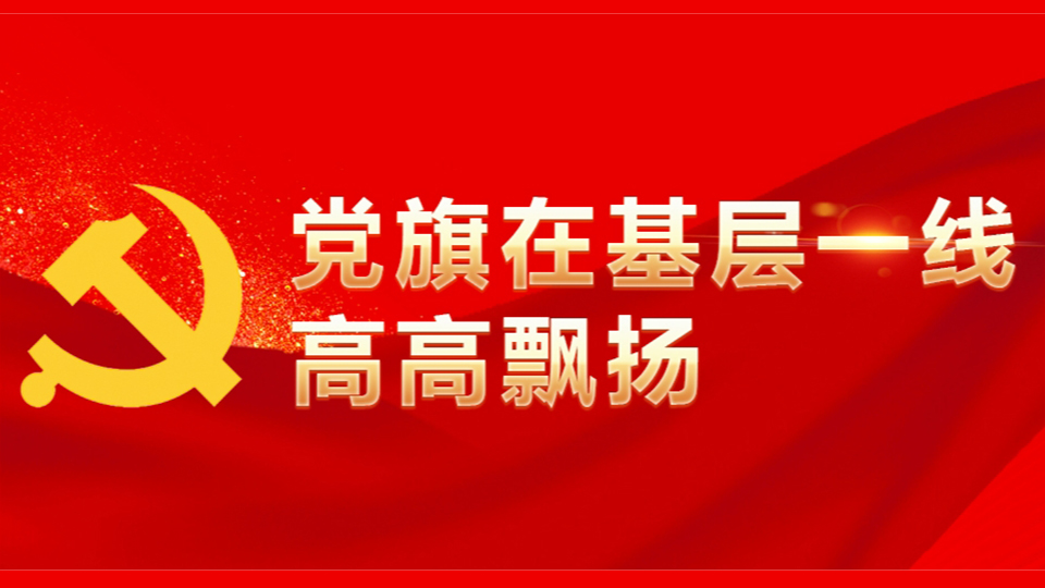 守土尽责 挺膺担当——基层党组织筑牢防汛救灾防线