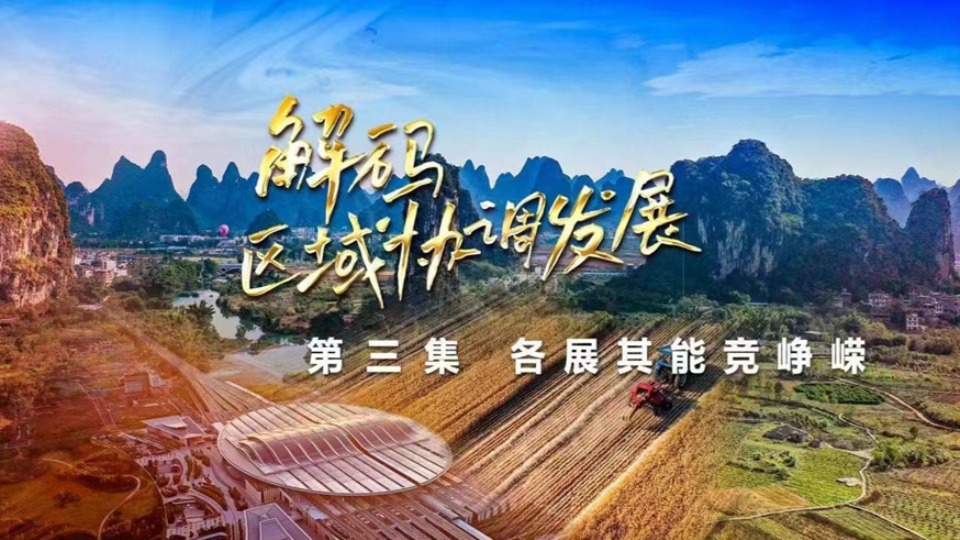 四集政论片《解码区域协调发展》第三集《各展其能竞峥嵘》