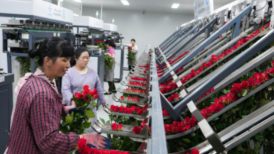 锚定现代化 改革再深化｜云南晋宁：一枝鲜花背后的科技力量