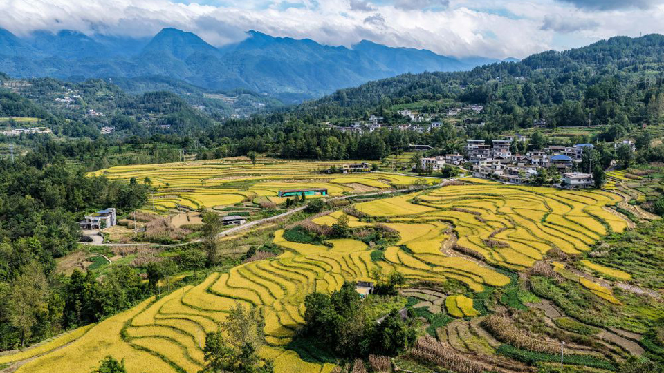 镜观中国｜良田舒卷！夯牢中国饭碗新底气