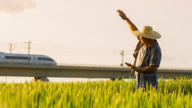 中国之变丨五年，实实在在的变化，托举起每一个幸福的日常