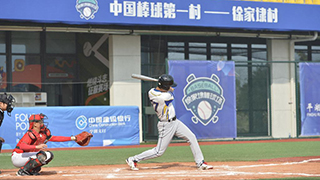 建起棒球场，组团种花卉——浙江嘉兴村庄走出抱团发展共富路