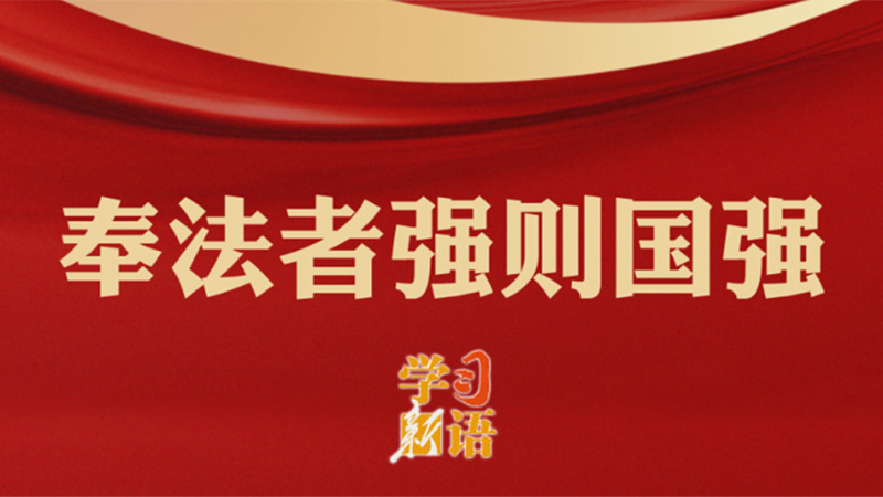 学习新语丨奉法者强则国强