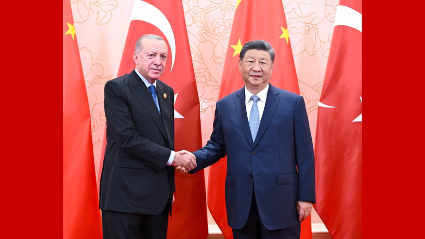 习近平会见土耳其总统埃尔多安