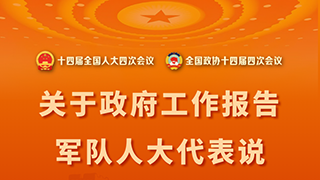 关于政府工作报告 军队人大代表说