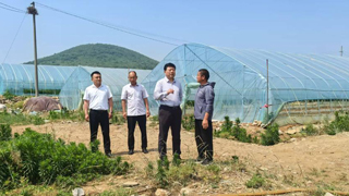 全国政协委员王传喜：用脚步丈量民生 为农民解困办事