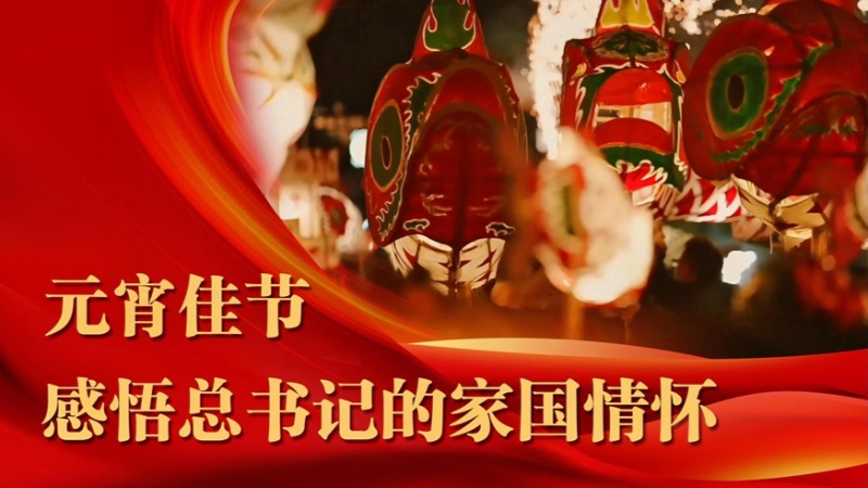 微视频丨元宵佳节，感悟总书记的家国情怀