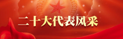 二十大代表风采