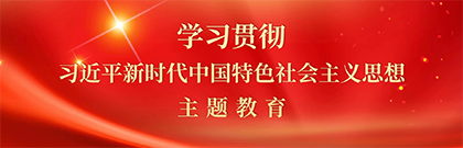 学习贯彻习近平新时代中国特色社会主义思想主题教育