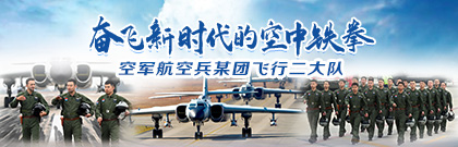 奋飞新时代的空中铁拳 空军航空兵某团飞行二大队