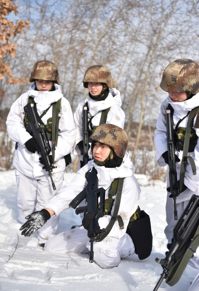 深入东北边陲,探秘"血狼"劲旅的特战女兵