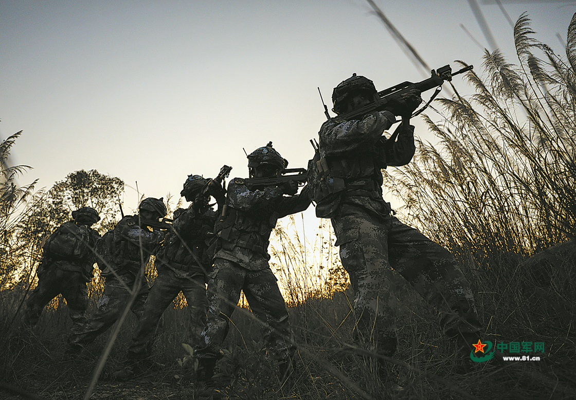 密林深处 斗智斗勇!海军陆战队某旅开展班战术演练