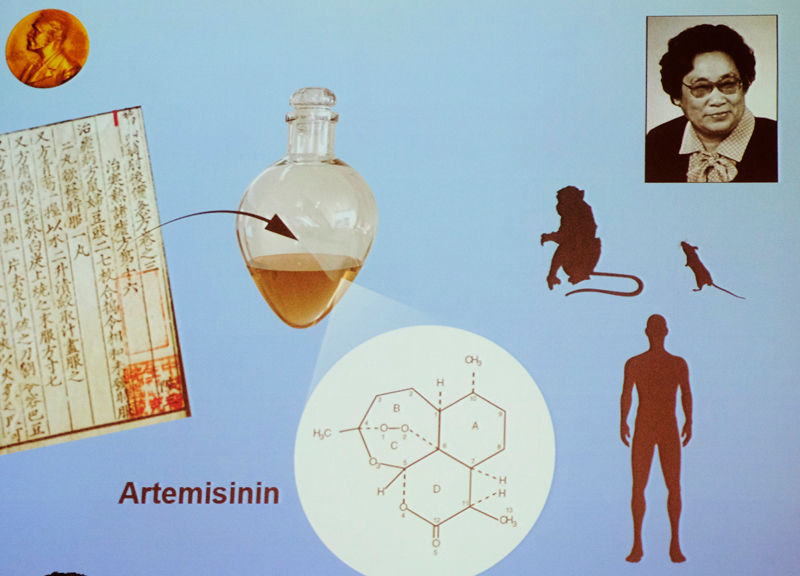 屠呦呦:青蒿素是传统中医药送给世界人民的礼物