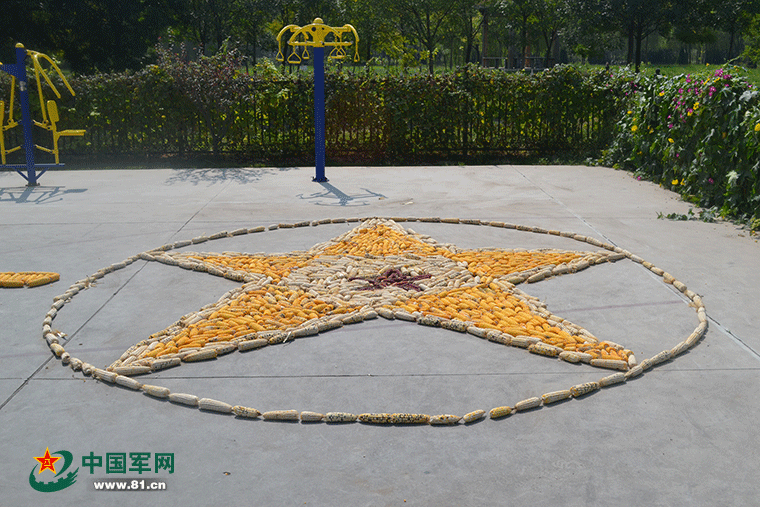 丰收之后的玉米,摆成大五角星,因为你的形状,所以格外的美.