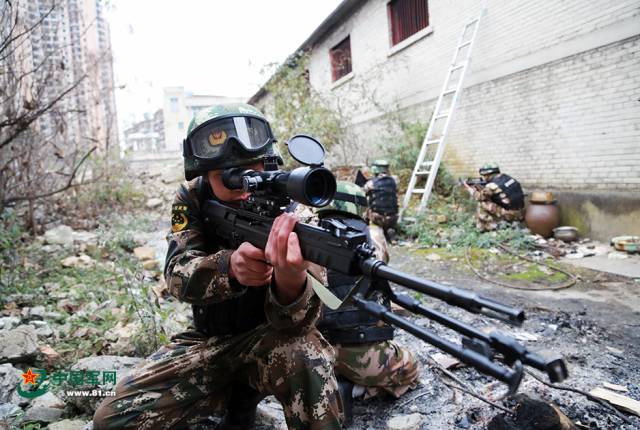 军网网评|改革的中国,敢问路在何方?