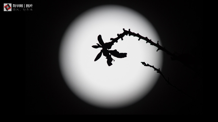 "超级月亮"现身啦!有没有"闪"到你?