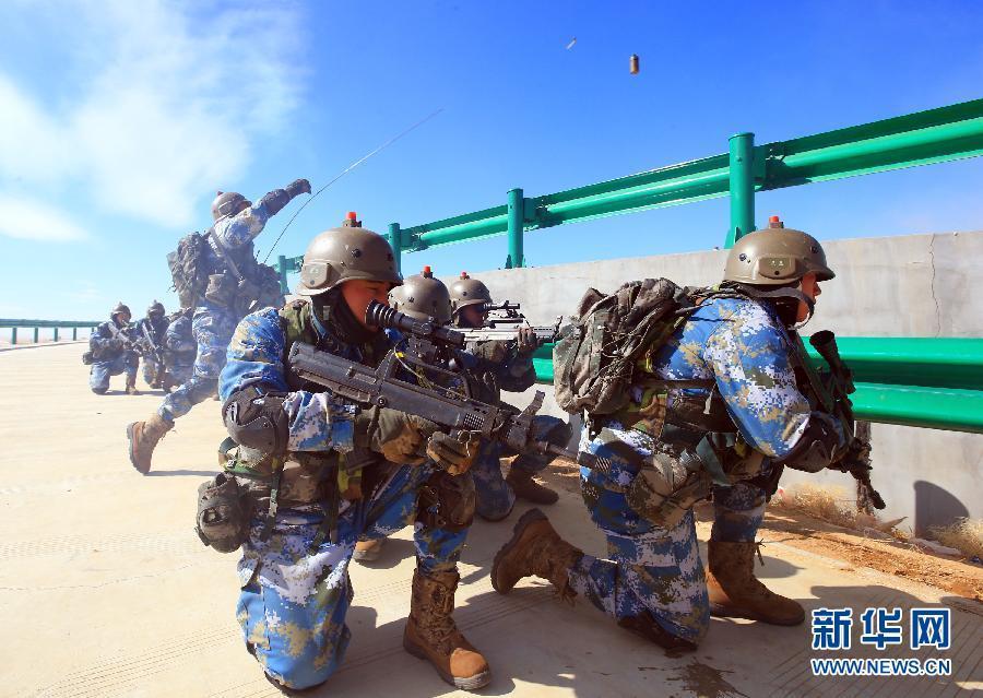 海军陆战队寒区跨军种实兵对抗演练