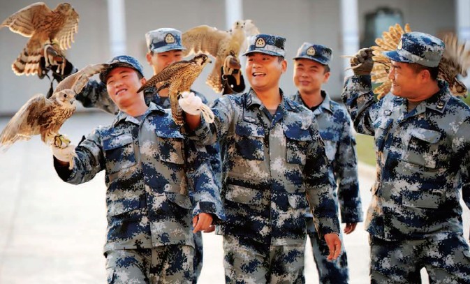 不一样的后勤兵