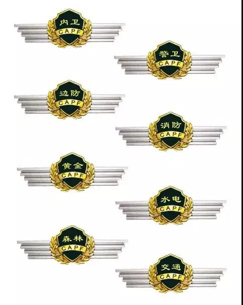 武警部队八大警种胸标(2007式)